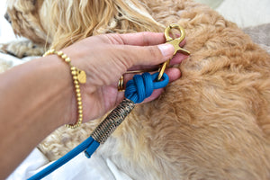 Santorini turquoise dog lead