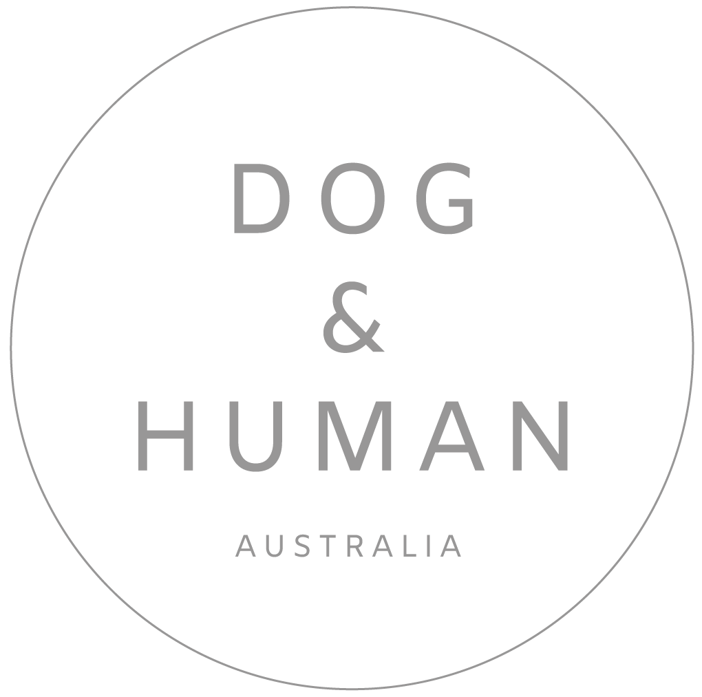 Dog & Human